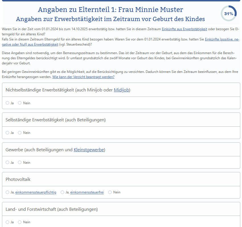 erwerbstätigkeit angaben job